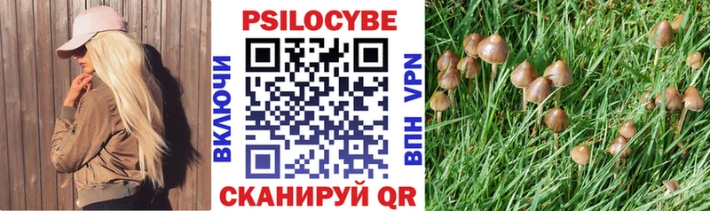 Галлюциногенные грибы мицелий  Элиста 
